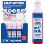 LIQUI MOLY | Motoröl | 2-Takt 100 ml | 1029