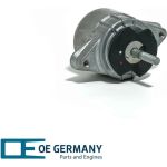 OE Germany | Lagerung, Motor | 801387